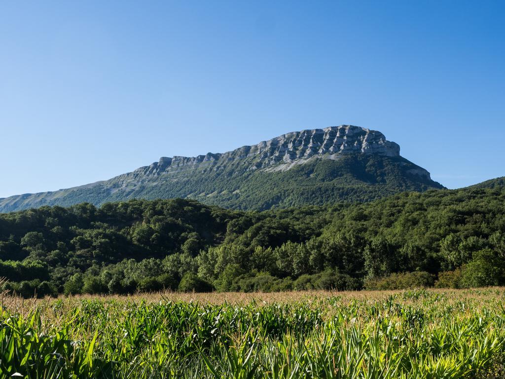 Casa Rural Martxoenea Landetxea Hotell Arruazu Eksteriør bilde
